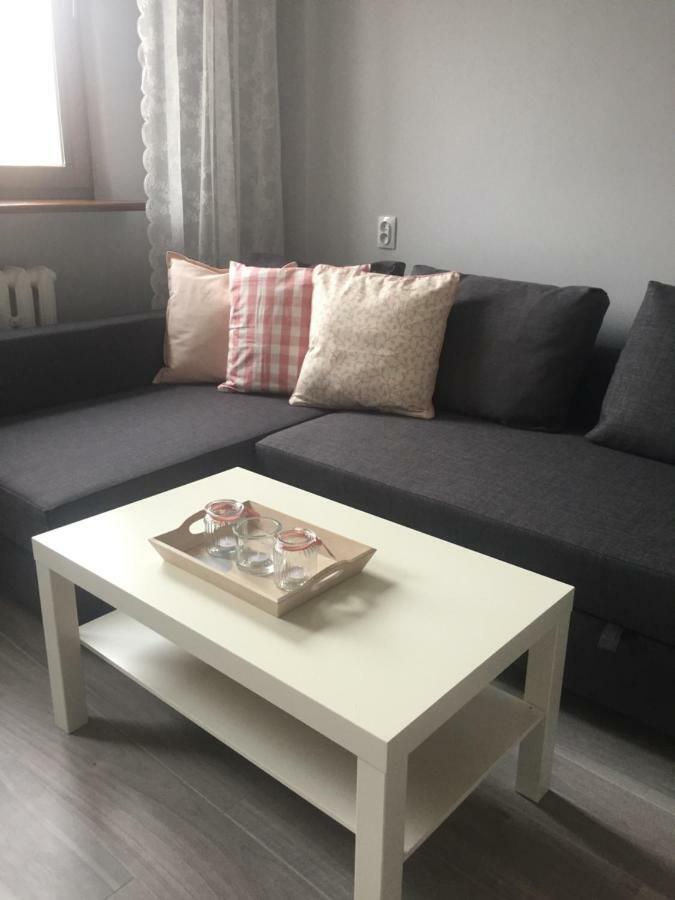 Apartment Oswiecim Klimatyzowany المظهر الخارجي الصورة