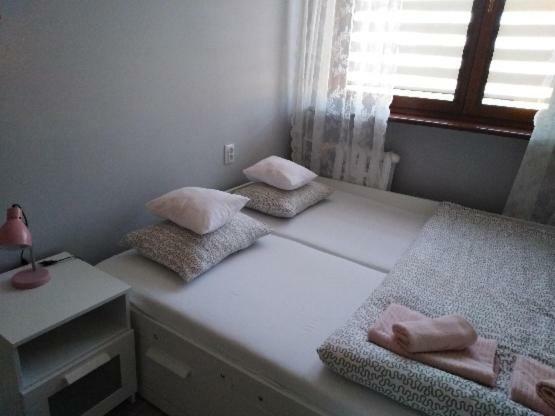 Apartment Oswiecim Klimatyzowany المظهر الخارجي الصورة