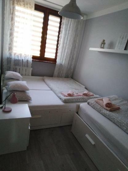 Apartment Oswiecim Klimatyzowany المظهر الخارجي الصورة