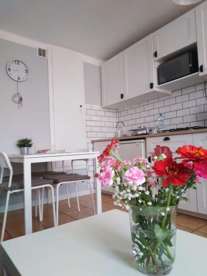 Apartment Oswiecim Klimatyzowany المظهر الخارجي الصورة