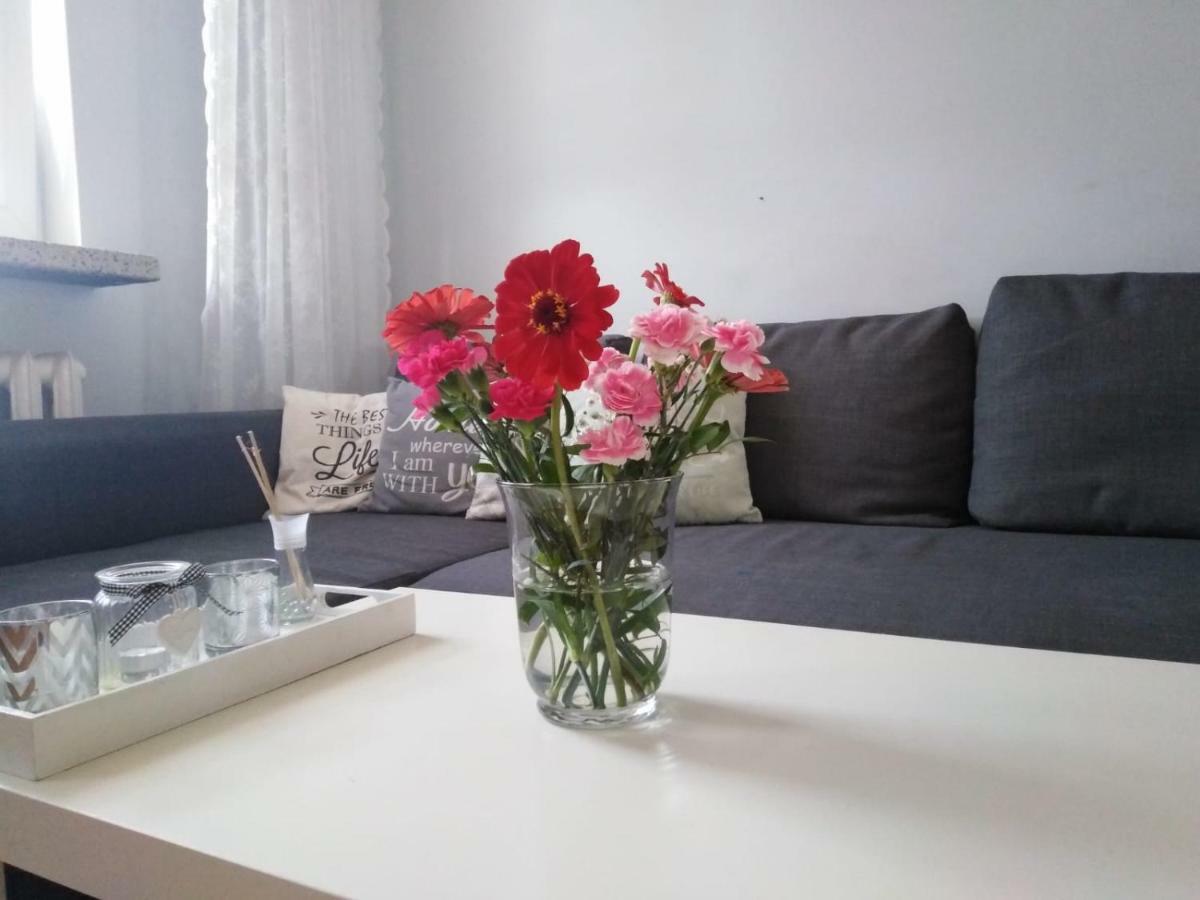 Apartment Oswiecim Klimatyzowany المظهر الخارجي الصورة