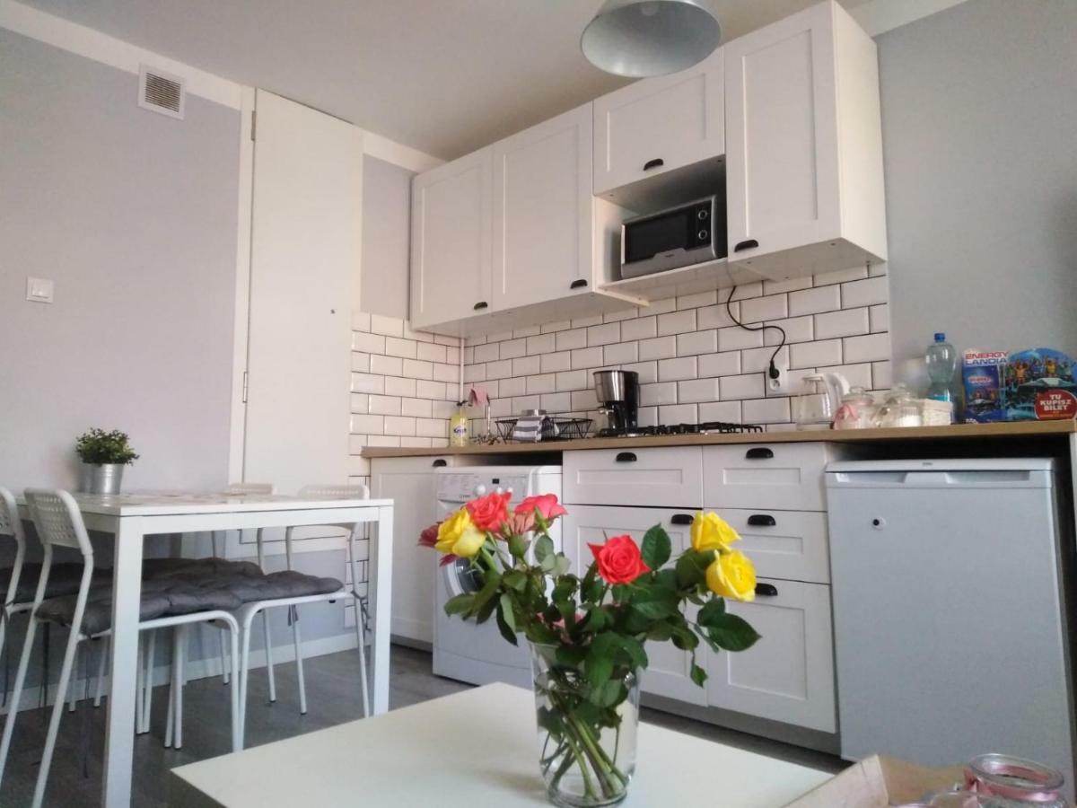 Apartment Oswiecim Klimatyzowany المظهر الخارجي الصورة